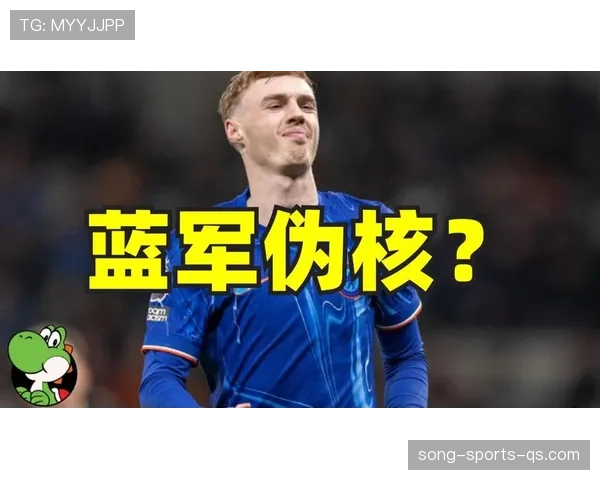 帕尔默的组织核心角色与创造力对战术自由度的依赖分析